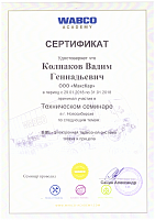 сертификат пневмо WABCO 2018 г.